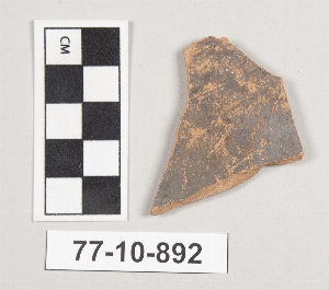 77-10-892