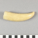 876427