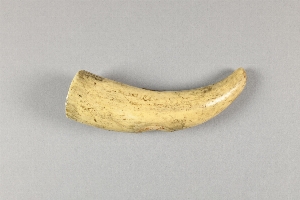 61-2-23