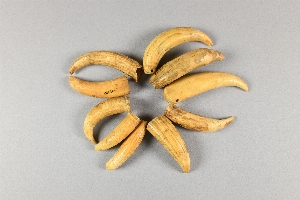 18192B