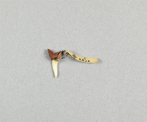 P2233
