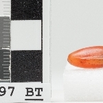877062