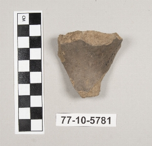 77-10-5781