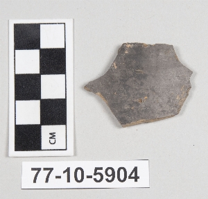 77-10-5904