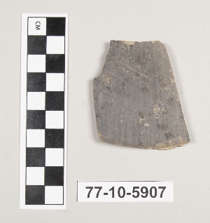77-10-5907
