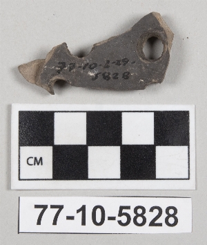 77-10-5828