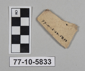 77-10-5833