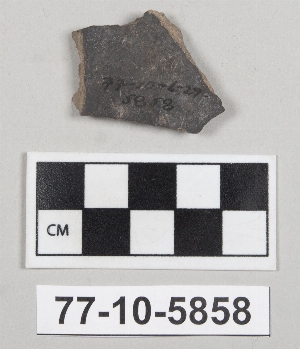 77-10-5858