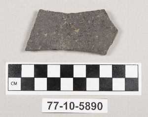 77-10-5890