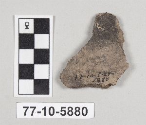 77-10-5880