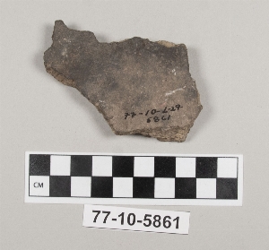 77-10-5861
