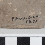 877464
