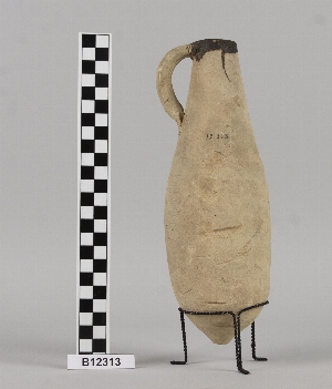 B12313