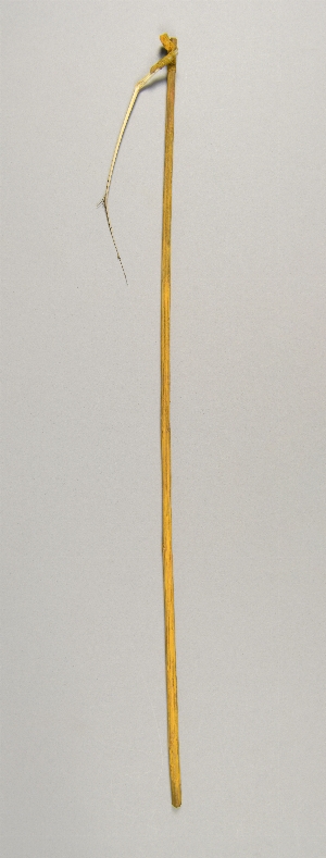 97-84-2216C