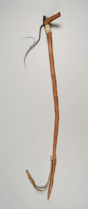 37016.1