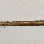 880515