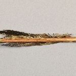 880620