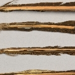 880641
