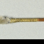 880656