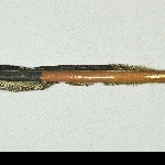 880674