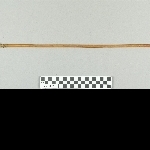 880691