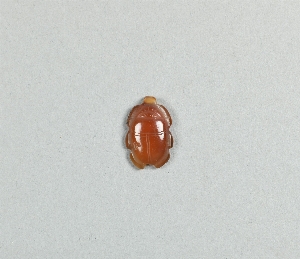 E11841
