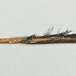 880917