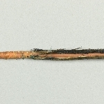 880925