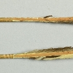 880973