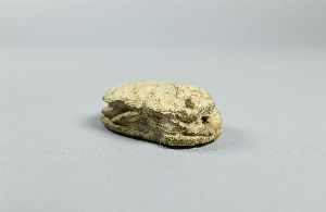 E21