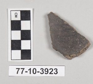 77-10-3923