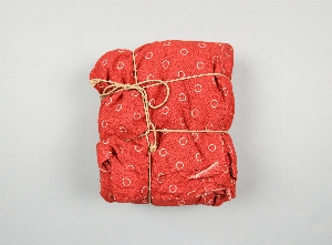 NA10539