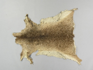 CG93-2-236