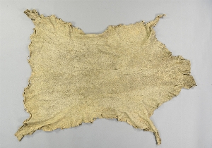 CG93-2-237