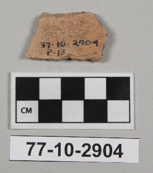 77-10-2904