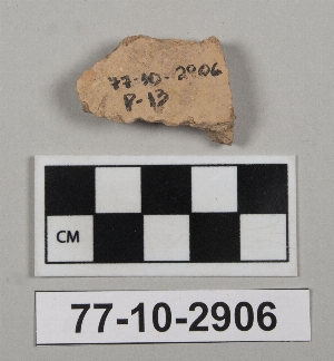 77-10-2906
