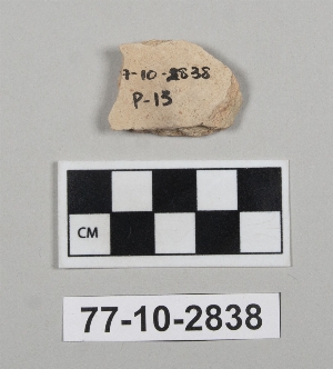 77-10-2838