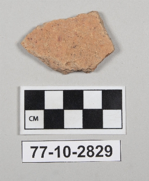 77-10-2829