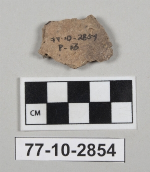 77-10-2854