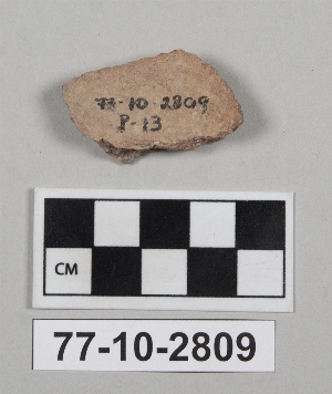 77-10-2809