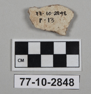 77-10-2848