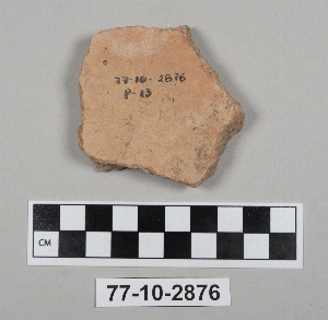 77-10-2876