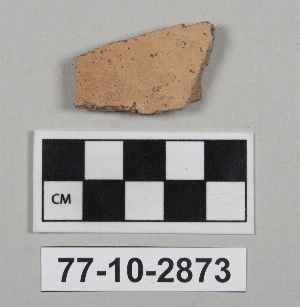 77-10-2873