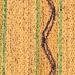 884409