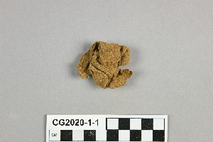 CG2020-1-1