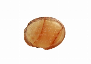 29-128-1433