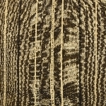 888501