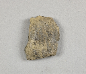 58-2-8A