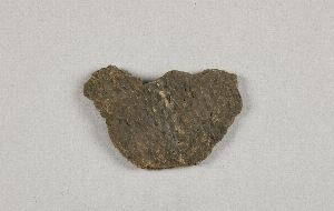 58-2-11D