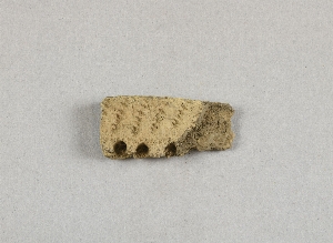 58-2-23A